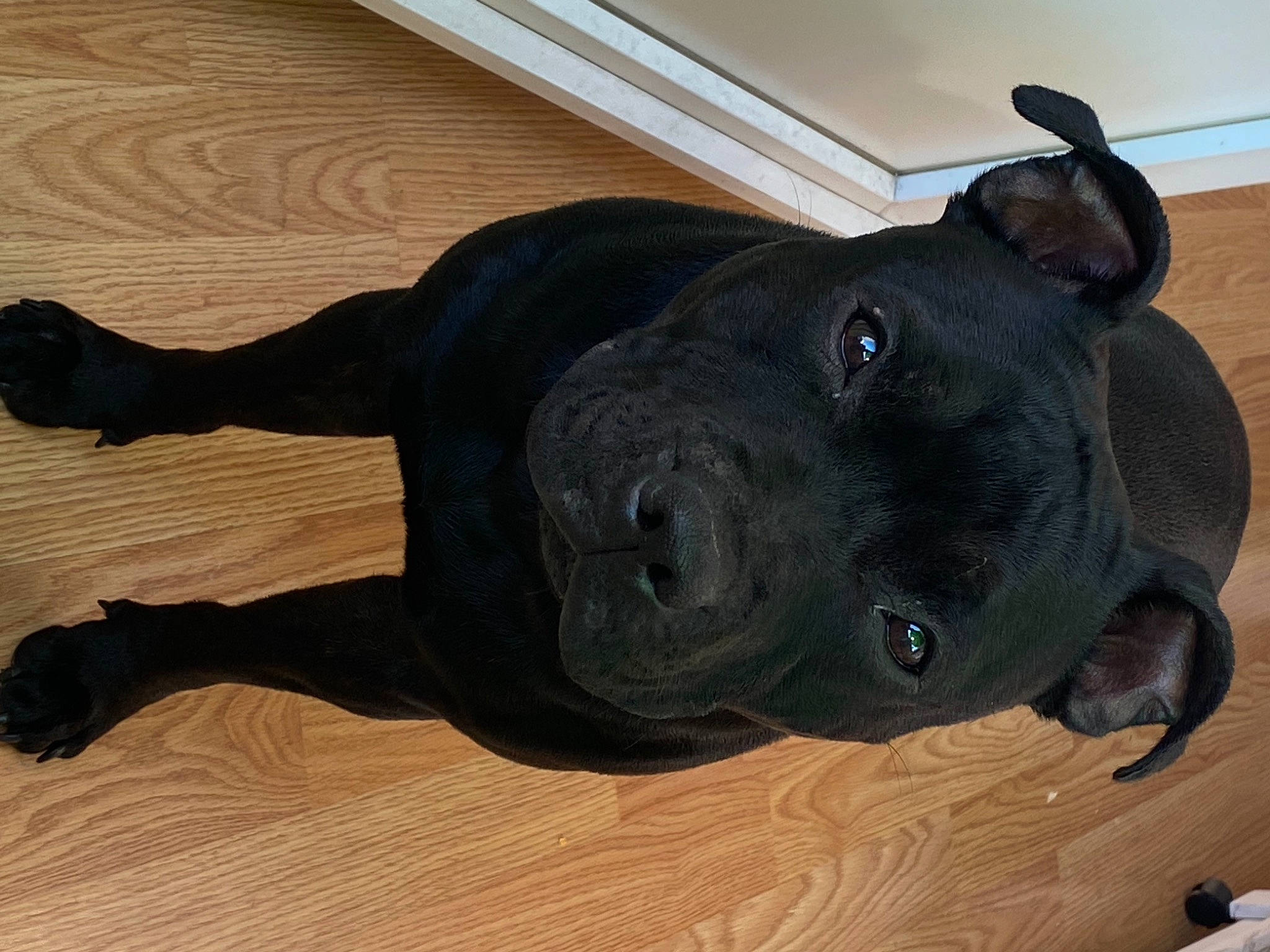 Roxy