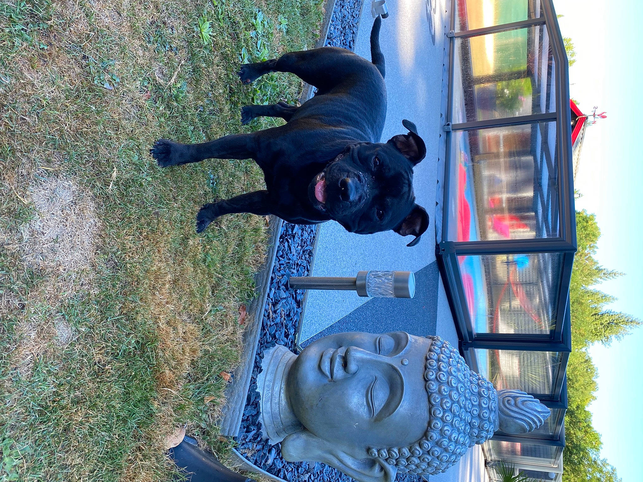 Roxy