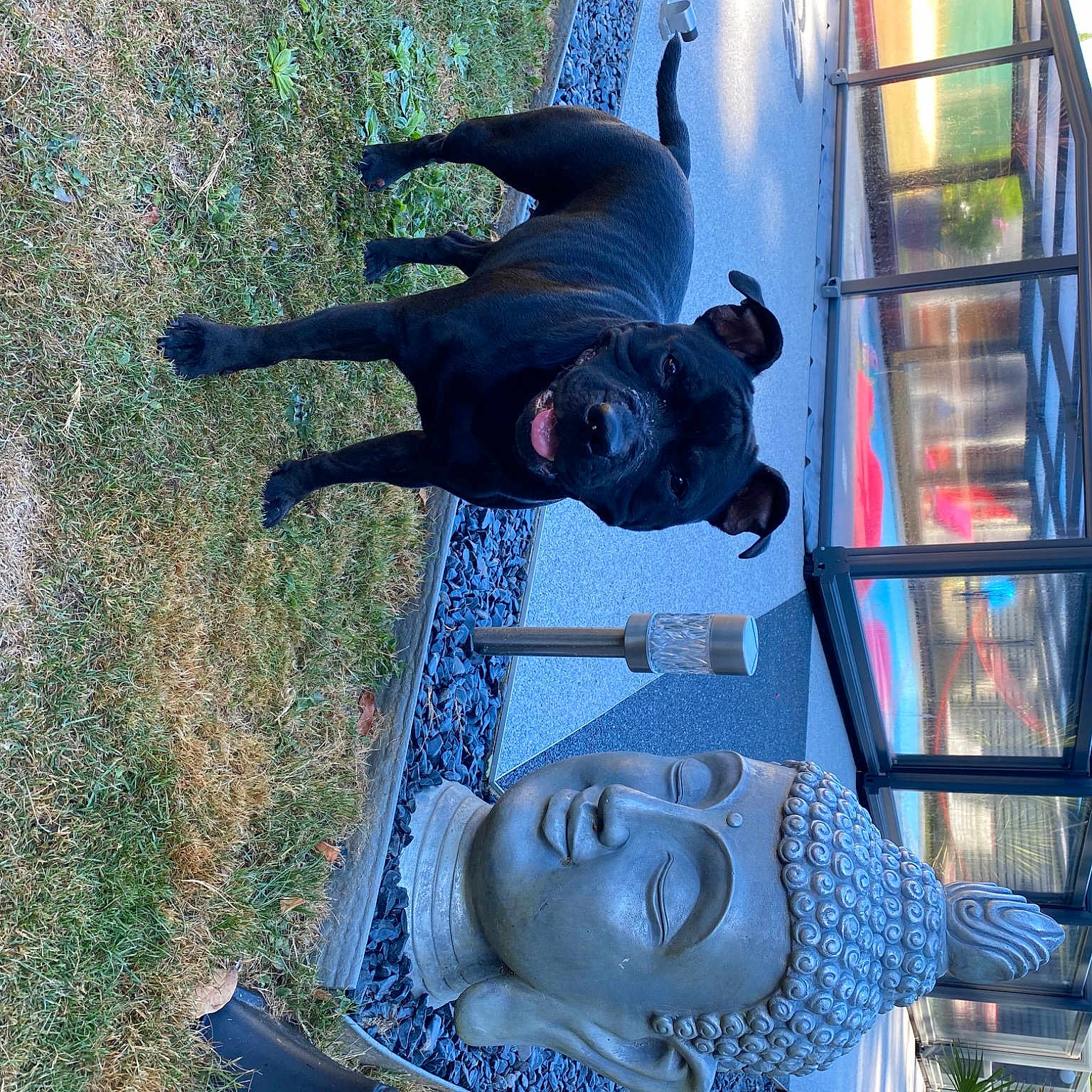 Roxy