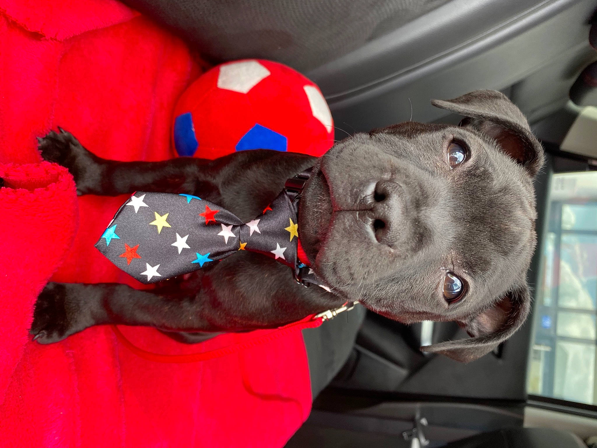 Roxy