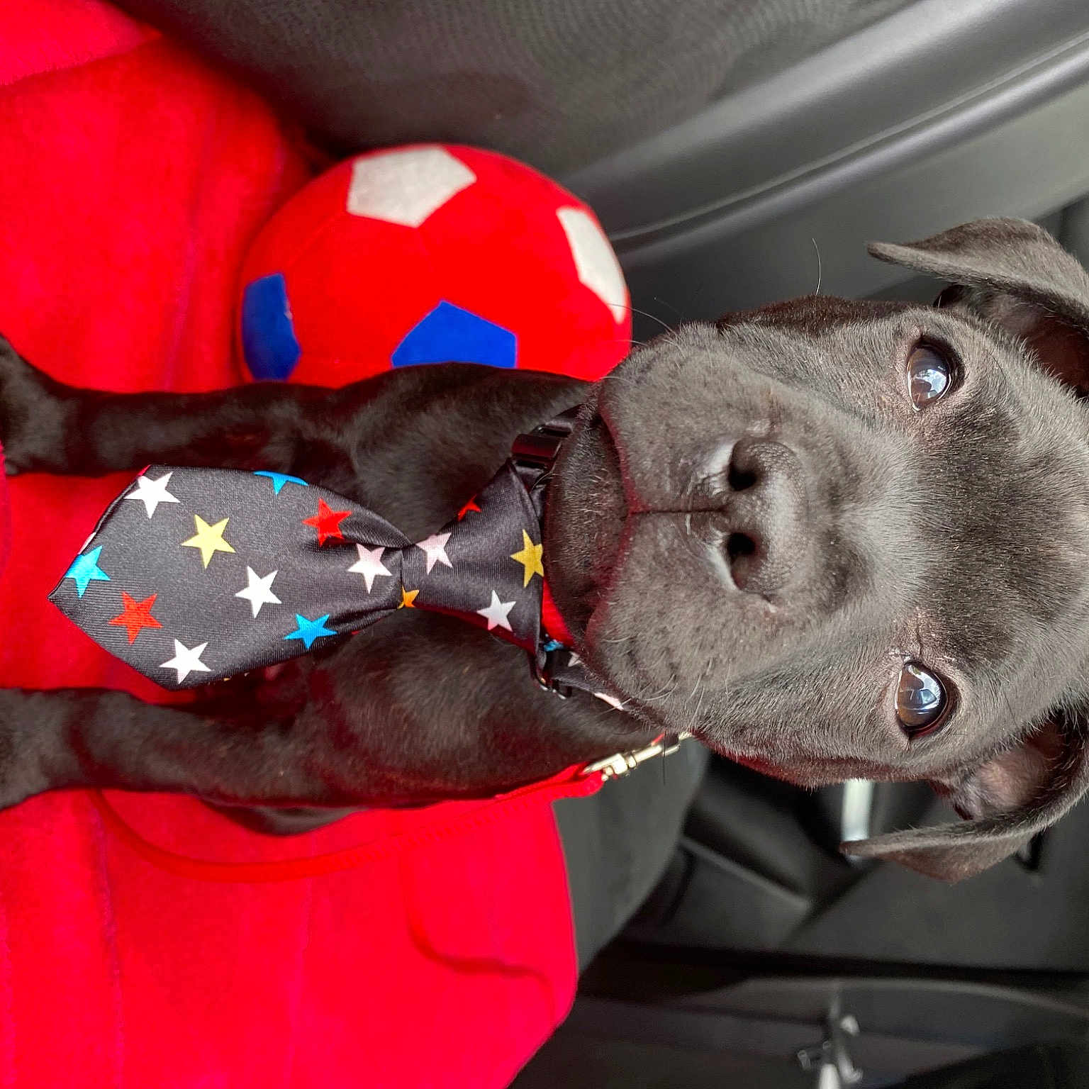 Roxy