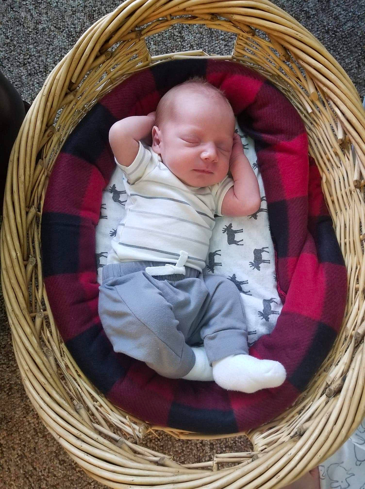 Jacoby joined the competition — help win amazing prizes! baby, child, circle, oval, person, photography, product, toddler, wicker