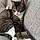 Mittens