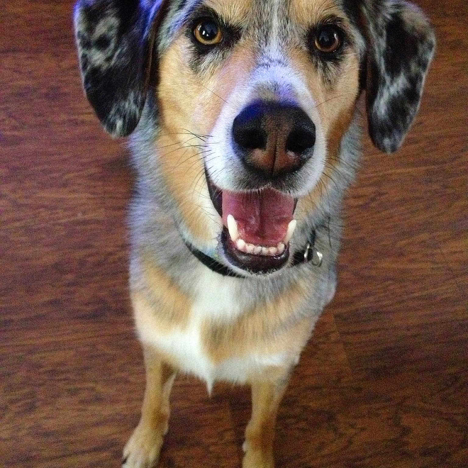 Jace joined the competition — help win amazing prizes!