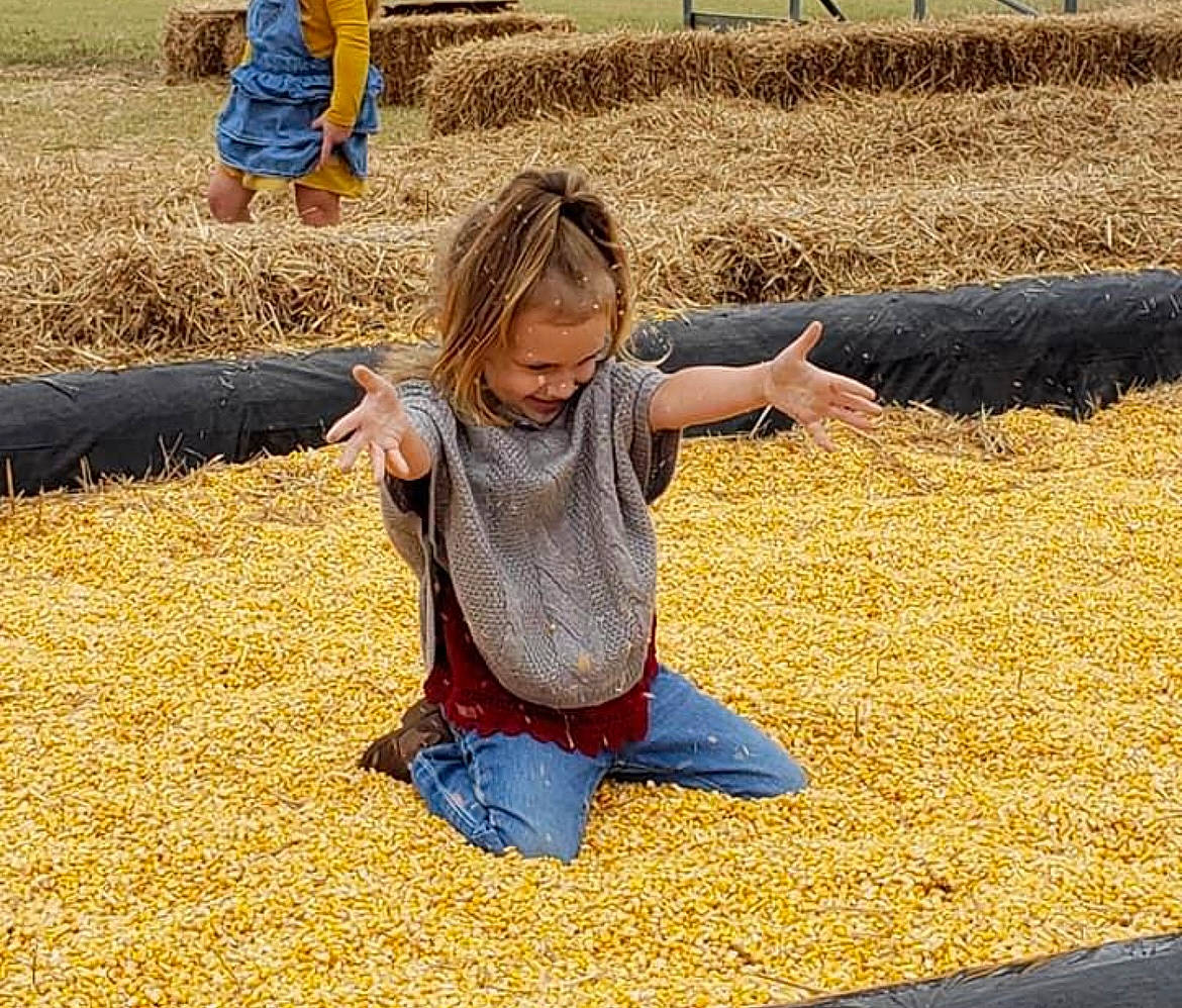 Autumn Skye joined the competition — help win amazing prizes! child, city, flooring, fun, grass, grass_family, happy, landscape, leaf, leg, leisure, people, people_in_nature, person, recreation, sand, shadow, sitting, soil, toddler