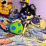 Shadow is registered to the contest to win money with this photo: animal, ball, bed, bedroom, blanket, collar, colorful, cow_plush, cute, dog, fur, indoor, pet, pikachu, playful, plush_toy, puppy, soft_toys, toy, young_dog