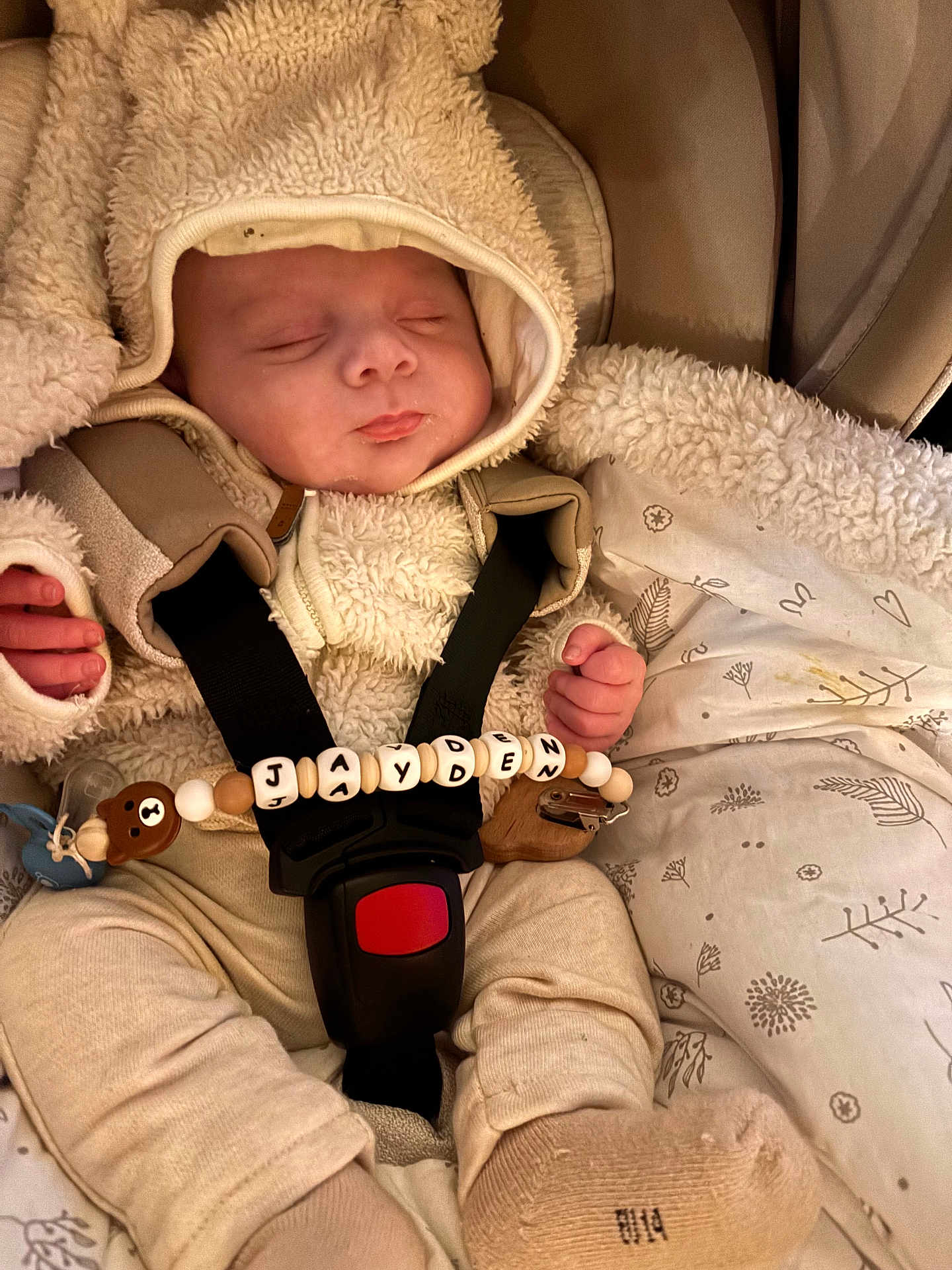 Jayden participe au concours pour gagner de l'argent avec cette photo : baby, infant, sleeping, car_seat, hooded_jacket, fleece, blanket, buckle, harness, beads, wooden_toy, sock, cozy, hand, face, indoor, portrait, fabric_pattern, bear_bead, neutral_colors
