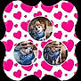 accessory, adorable, animal, bandana, charming, circle_frame, collage, costume, cowboy_hat, cute, dog, face, hat, indoor, pet, pink_hearts, playful, portrait, small_dog, white_background