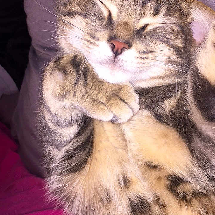 Léo