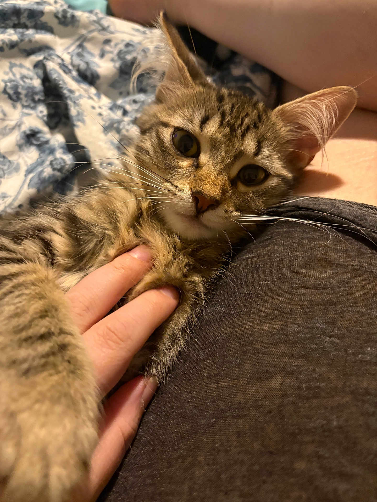 Ellie
