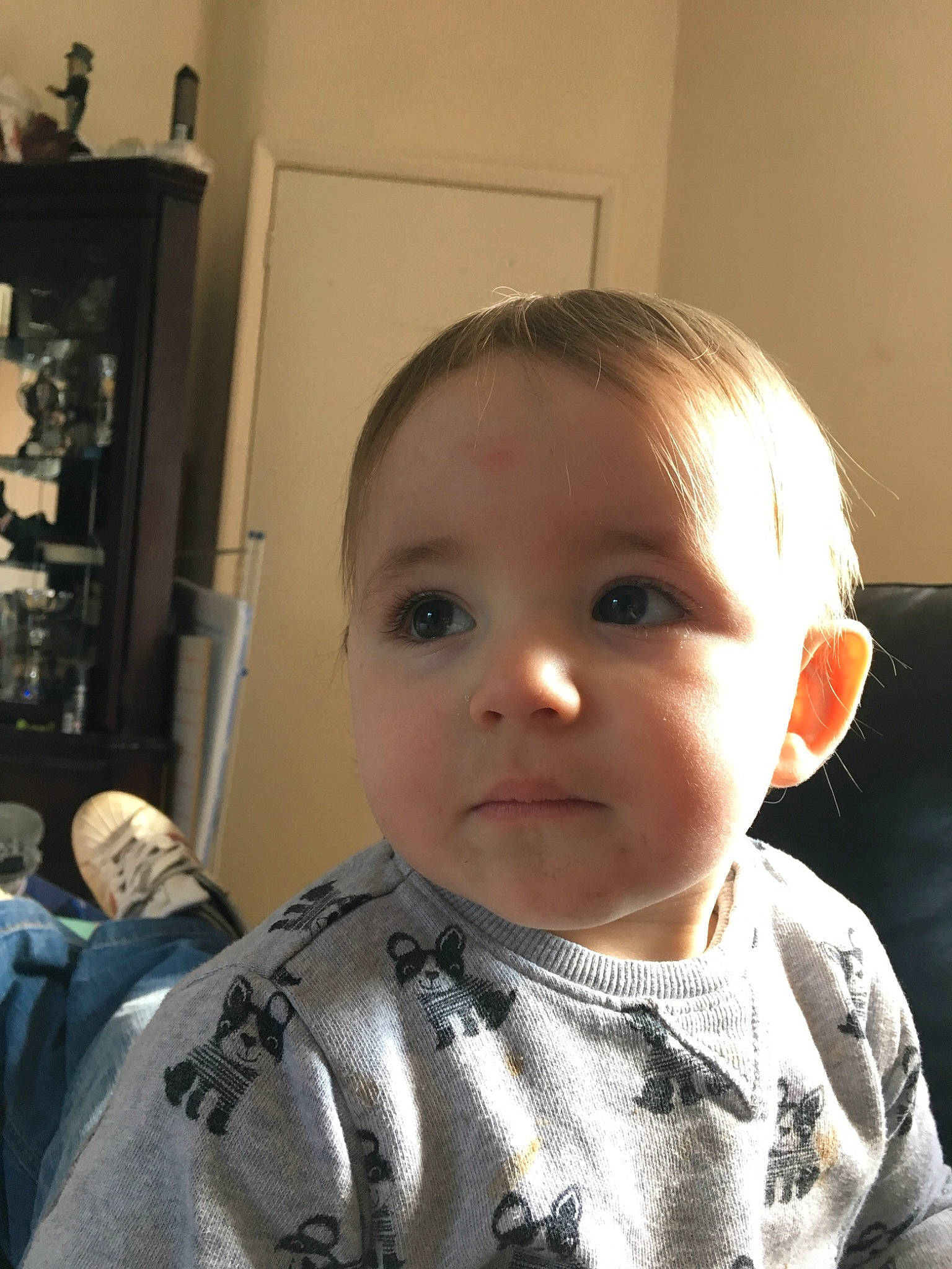 Leo is registered to the contest to win money with this photo: baby, cheek, child, chin, face, forehead, hair, hairstyle, head, nose, person, skin, smile, toddler