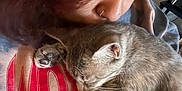 Mimi is registered to the contest to win money with this photo: affection, casual_clothing, cat, close_up, comfort, cuddling, curly_hair, feline, gentle, grey_tabby, human_animal_bond, indoor, love, nose_ring, peaceful, person, pet, resting, sleeping_cat, warmth
