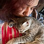 affection, casual_clothing, cat, close_up, comfort, cuddling, curly_hair, feline, gentle, grey_tabby, human_animal_bond, indoor, love, nose_ring, peaceful, person, pet, resting, sleeping_cat, warmth