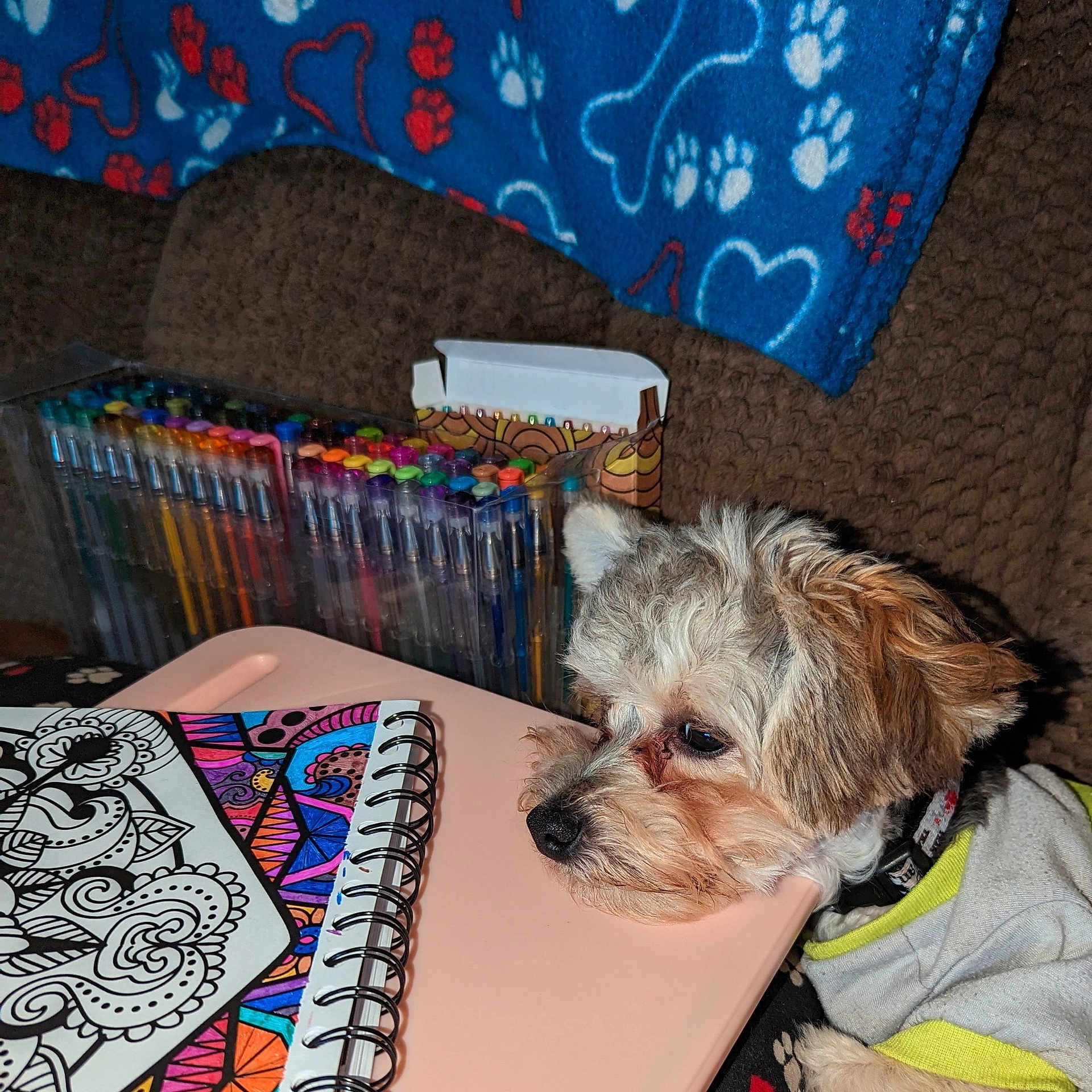 Niklaus is registered to the contest to win money with this photo: art, canidae, carnivore, comfort, companion_dog, couch, dog, dog_breed, dog_clothes, dog_supply, fawn, fur, linens, room, small_terrier, snout, sporting_group, terrier, toy_dog, working_animal