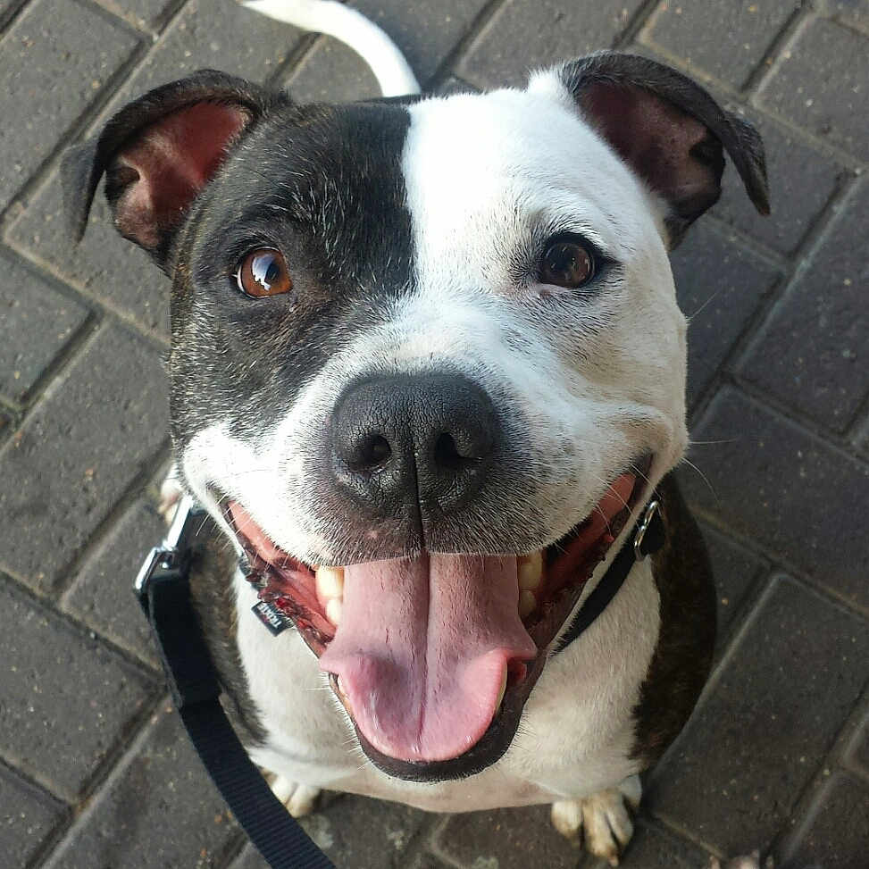 Rudi is registered to the contest to win money with this photo: