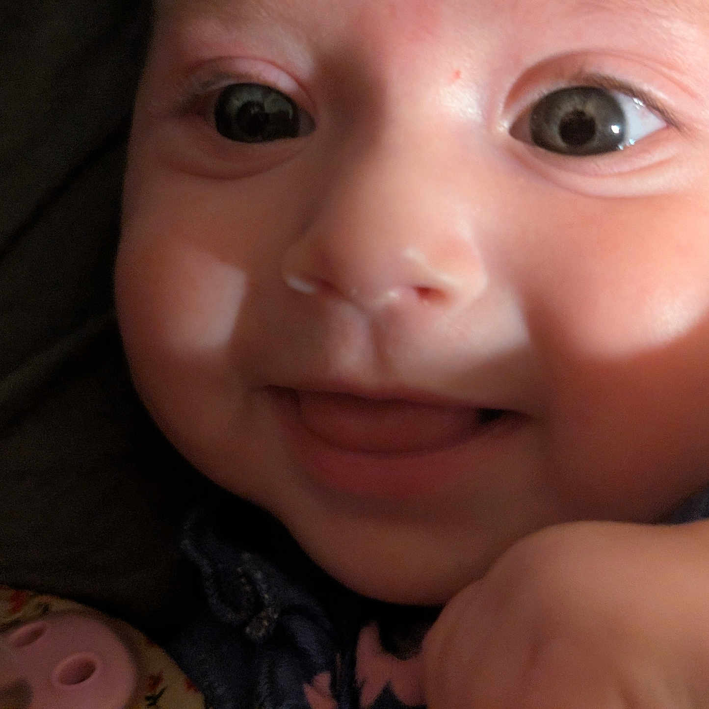 Jaylee