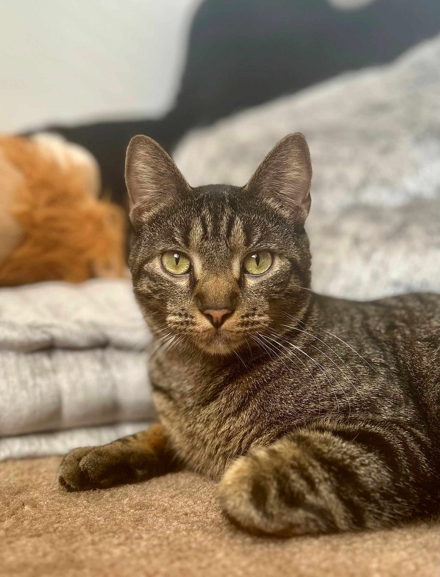 Zeke