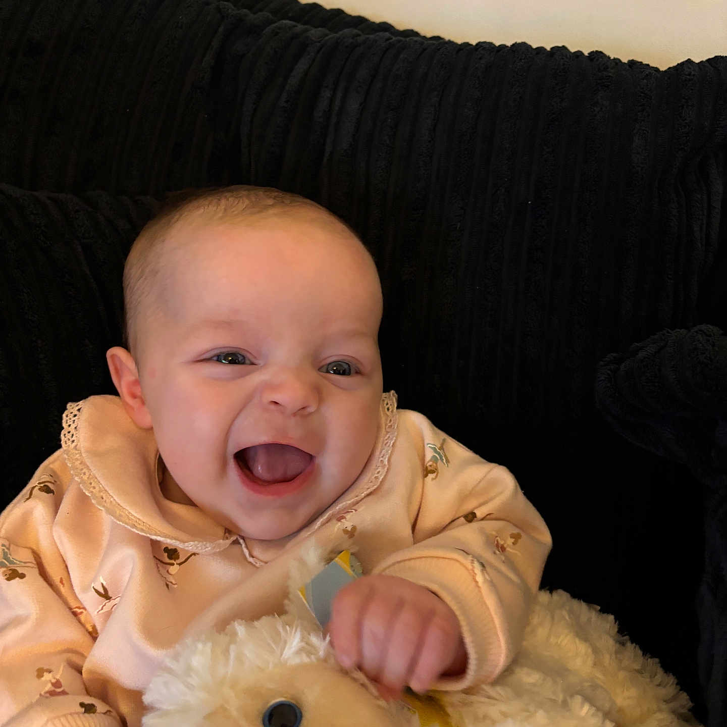 Daisy-Grace joined the competition — help win amazing prizes! architecture, baby, babylaughing, bodypart, couch, cushion, face, finger, furniture, hand, happy, head, homedecor, laughing, mouth, newborn, person, photography, portrait, toy