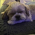 Cathy C.
