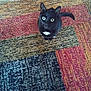 cat, black_cat, pet, animal, indoor, carpet, rug, patterned_rug, looking_up, curious, fur, whiskers, tail, domestic_cat, mammal, sitting, colorful, texture, white_patch, floor