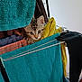 Orion a rejoint le concours — aidez-le/la à gagner de superbes lots ! kitten, cat, curious, towel, clothes, drying_rack, indoor, animal, pet, feline, young_cat, striped, laundry, household, peeking, cute, eyes, whiskers, soft_texture, colorful