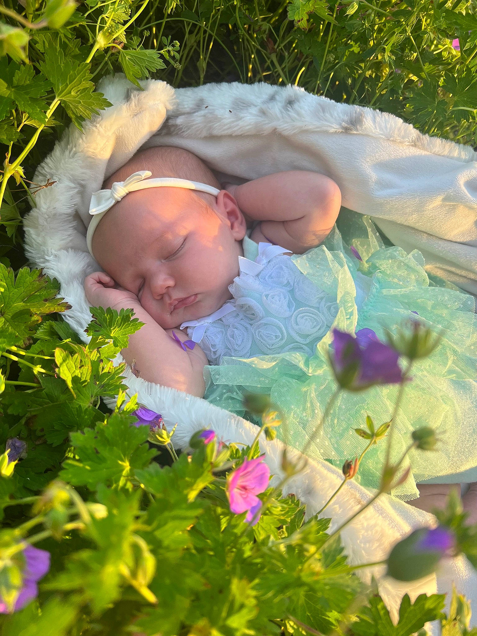 Lorelei is registered to the contest to win money with this photo: baby, baby_toddler_clothing, botany, child, flower, grass, grass_family, grassland, groundcover, happy, leaf, meadow, morning, nature, people_in_nature, person, petal, plant, sunlight, toddler