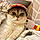 Timon