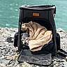 dog, pet_carrier, blanket, sleeping, outdoor, rocks, lake, water, nature, resting, cozy, animal, small_dog, travel, daylight, relaxation, canine, soft_texture, quiet, peaceful
