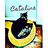cat, black_cat, feline, pet, animal, sitting, lounging, scratcher, cardboard, yellow, turquoise, indoor, home, furniture, portrait, close_up, golden_eyes, pointed_ears, wooden_surface, text_overlay