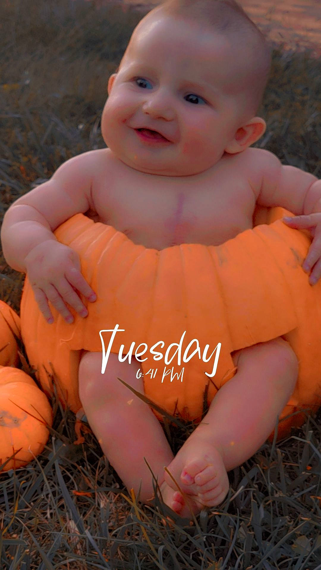 Jackson is registered to the contest to win money with this photo: arm, baby_toddler_clothing, eye, face, facial_expression, finger, gesture, grass, hairstyle, hand, happy, head, human_body, iris, joy, people_in_nature, person, photograph, plant, skin