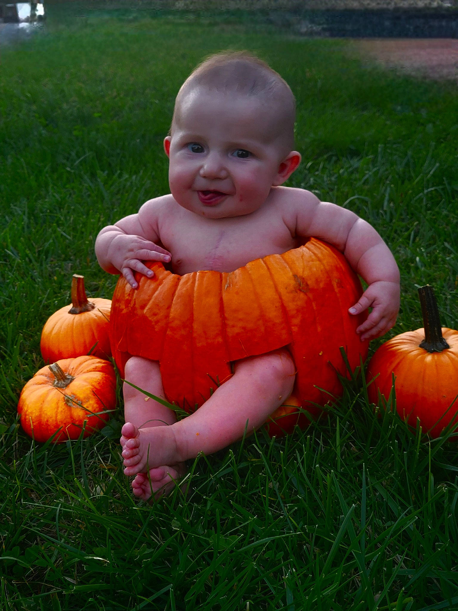 Jackson is registered to the contest to win money with this photo: botany, calabaza, cucurbita, eye, facial_expression, gourd, grass, happy, head, human_body, leaf, natural_foods, nature, orange, people_in_nature, person, photograph, plant, pumpkin, squash