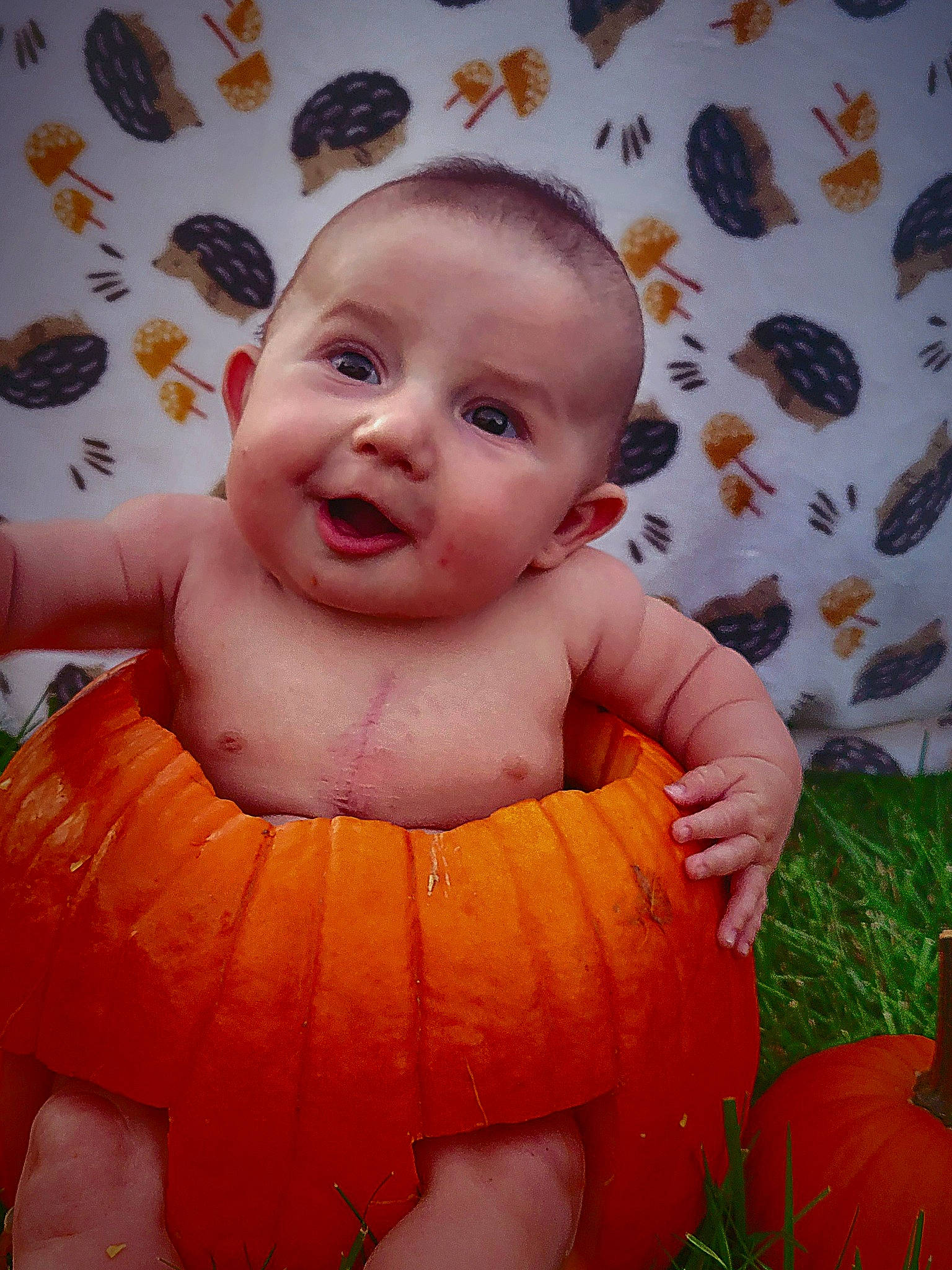 Jackson is registered to the contest to win money with this photo: arm, baby_toddler_clothing, calabaza, cheek, dress, eye, facial_expression, finger, hand, happy, head, human_body, iris, mouth, nose, orange, person, plant, pumpkin, smile