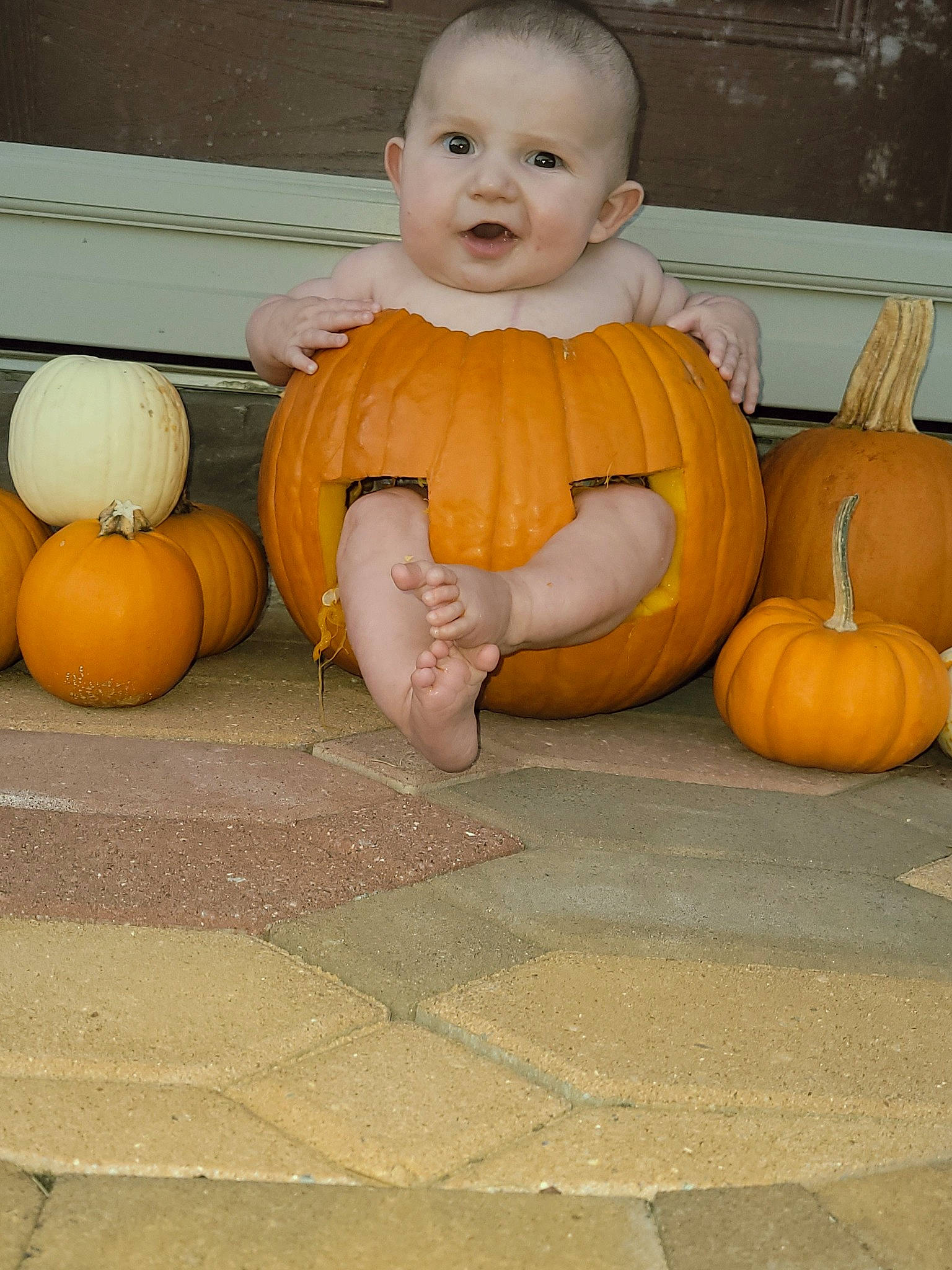 Jackson is registered to the contest to win money with this photo: calabaza, cucurbita, facial_expression, floor, flooring, fruit, gourd, happy, leg, mouth, natural_foods, orange, organ, people, person, plant, pumpkin, smile, squash, winter_squash