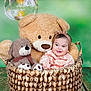 baby, teddy_bear, basket, plush_toy, headband, smile, child, green_background, wooden_floor, cute, indoor, portrait, cozy, toy, infant, happy, sitting, decor, warm_light, photo_shoot