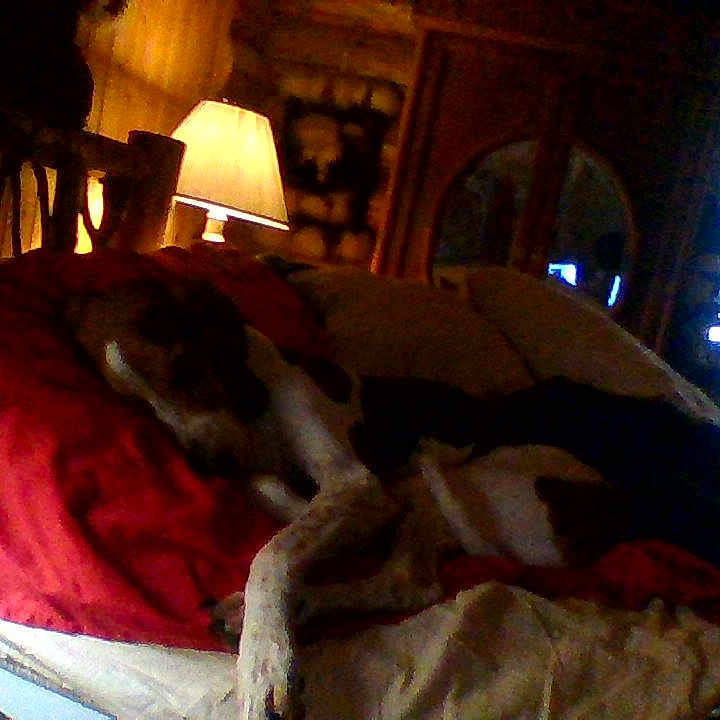 Duke