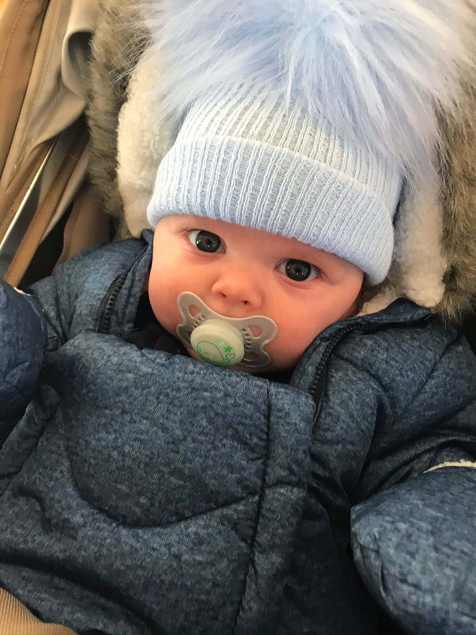 Lenny joined the competition — help win amazing prizes! baby, cheek, child, eye, face, fur, head, headgear, headwear, nose, person, photography, skin, toddler