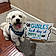 Charlie