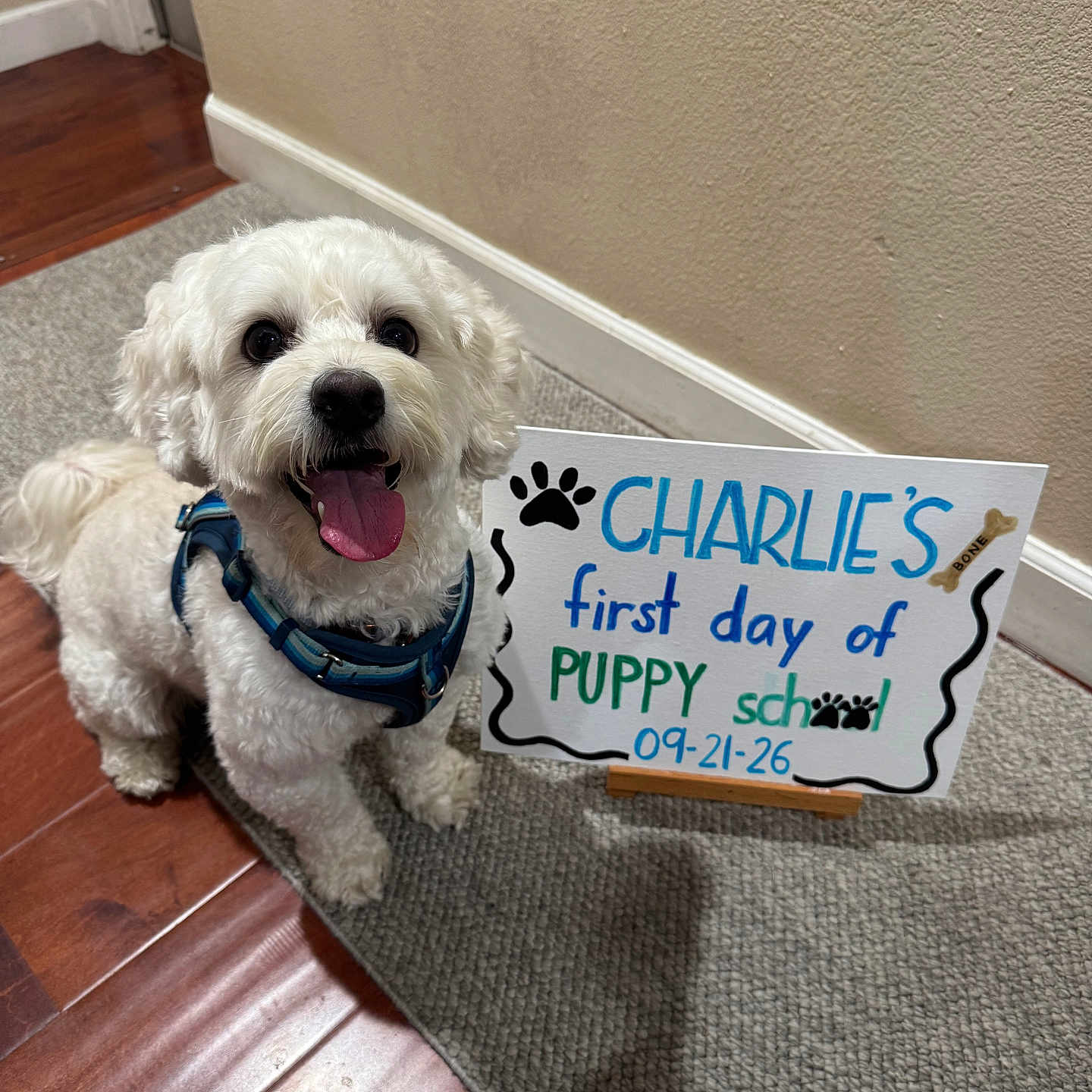 Charlie