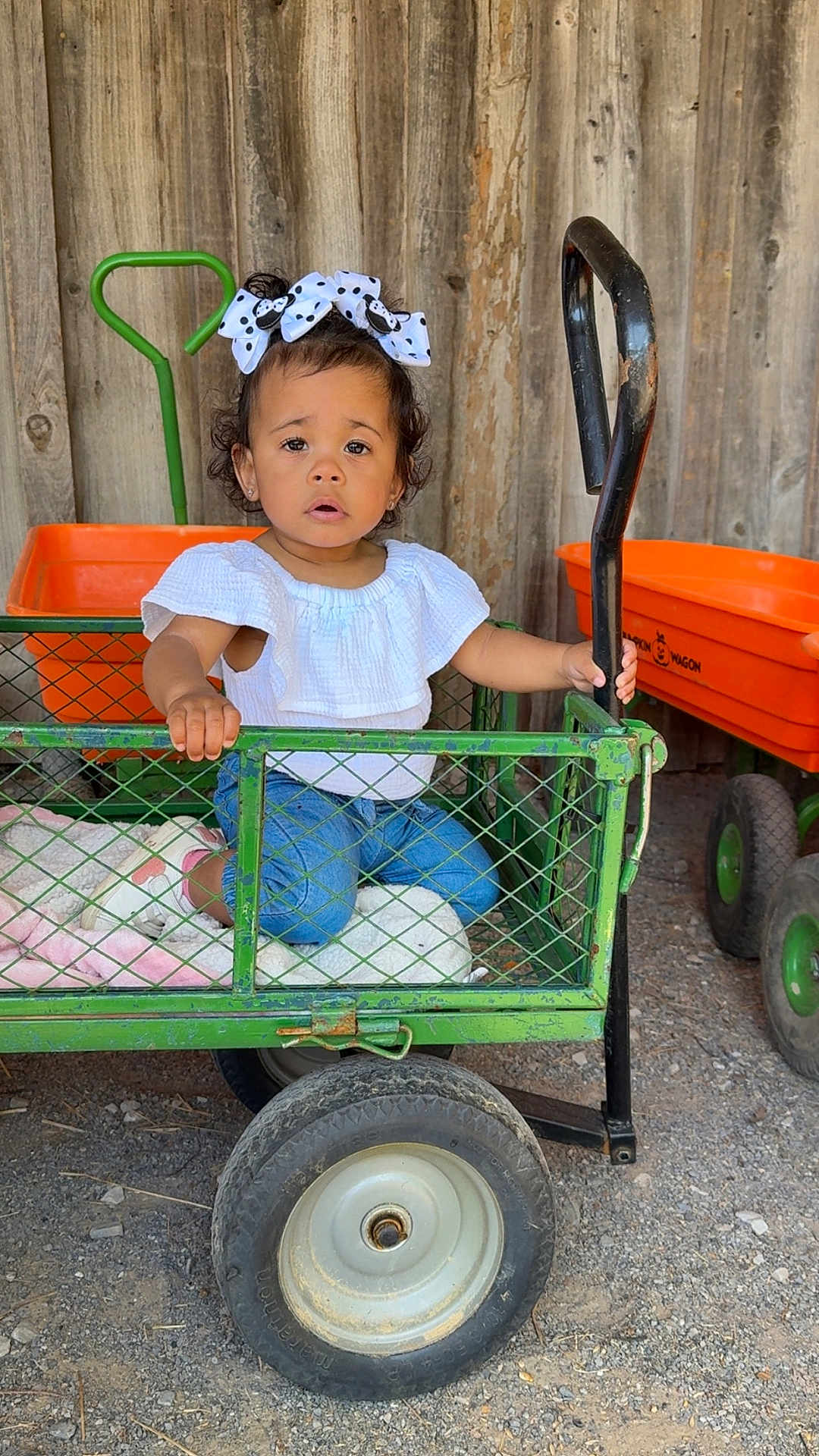 Arayah is registered to the contest to win money with this photo: toddler, child, wagon, green_wagon, orange_wagon, bow, white_bow, polka_dot, jeans, white_top, curly_hair, wooden_wall, grip, outdoor, dirt_ground, wheel, rustic, cute, expression, play