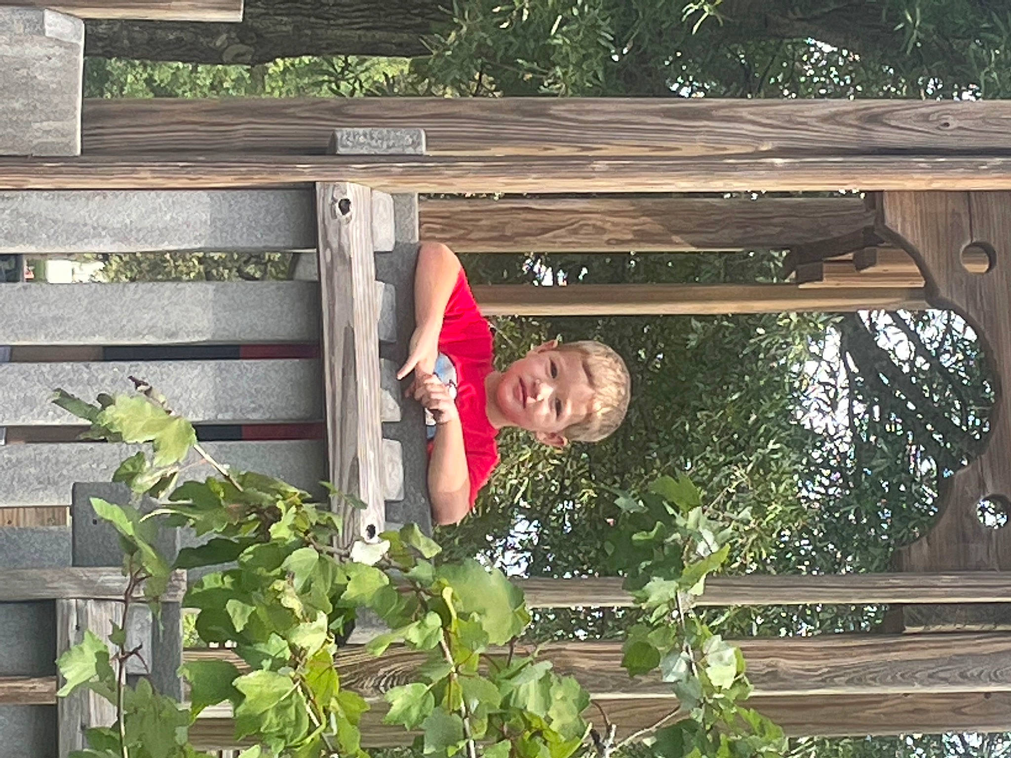 Matthew is registered to the contest to win money with this photo: garden, grass, hat, landscape, leaf, leisure, lumber, people_in_nature, person, plant, rectangle, shrub, smile, spring, tree, wood