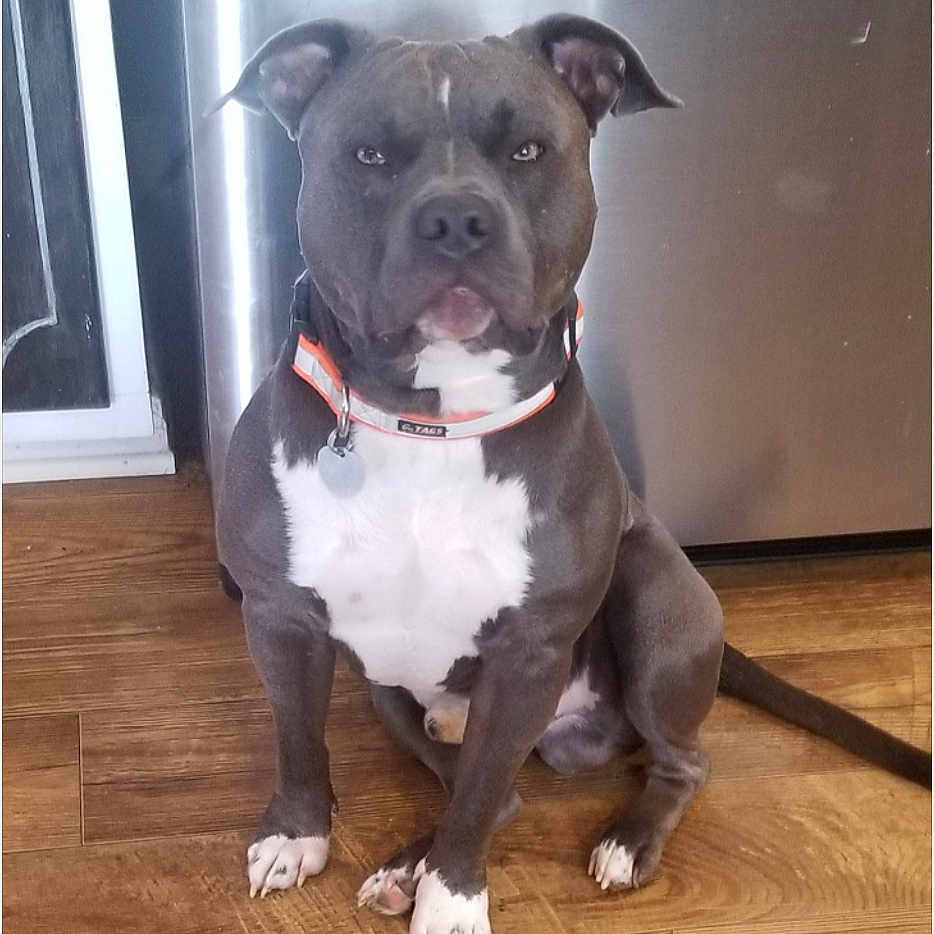Ruger