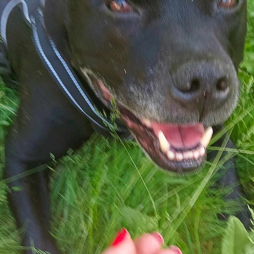 Marley