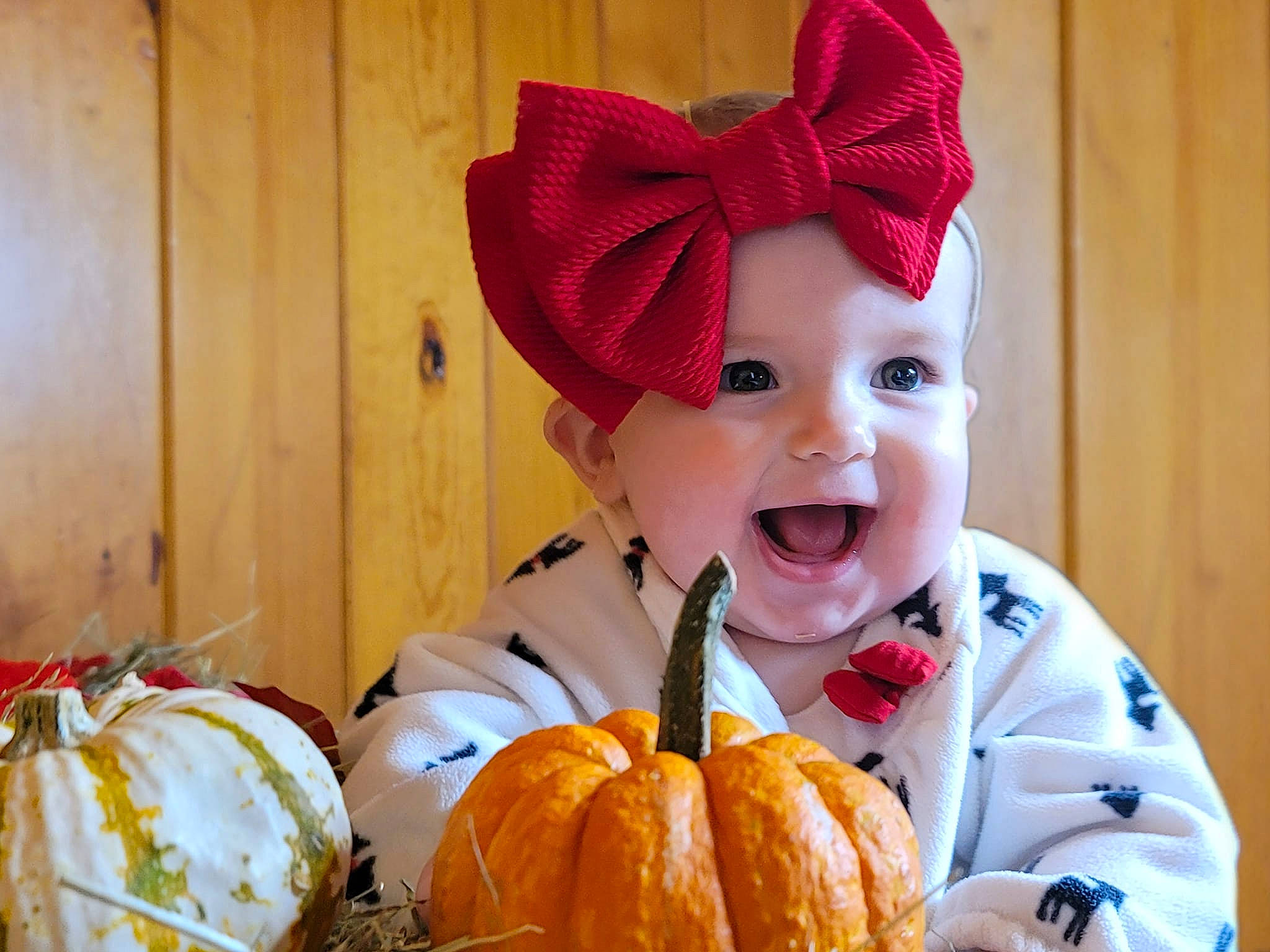 Aelin joined the competition — help win amazing prizes! calabaza, cap, clothing, costume_hat, cucurbita, facial_expression, gourd, happy, hat, head, headgear, headwear, human_body, natural_foods, orange, person, plant, pumpkin, smile, squash