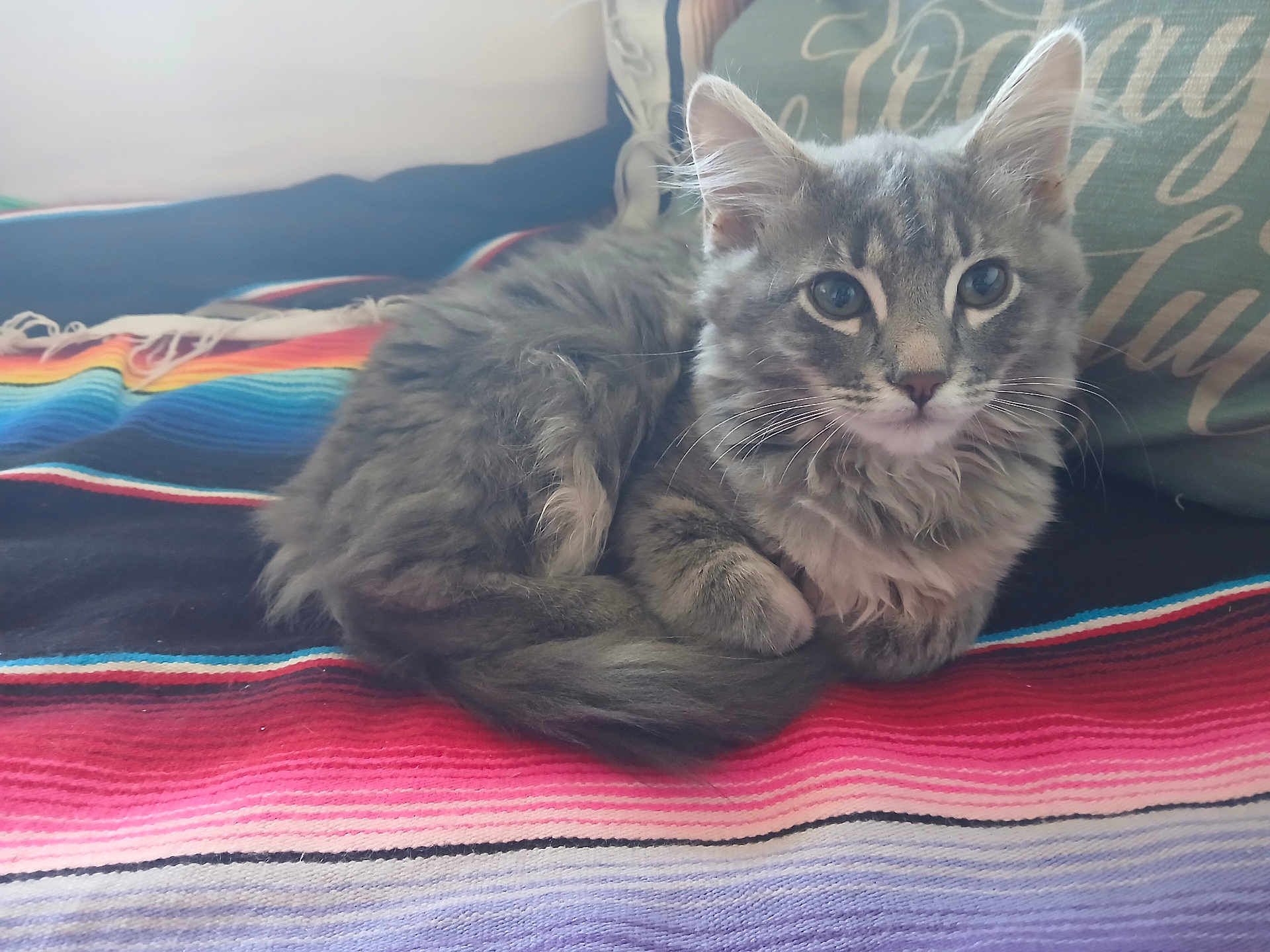 Minnie
