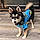 Shiloh