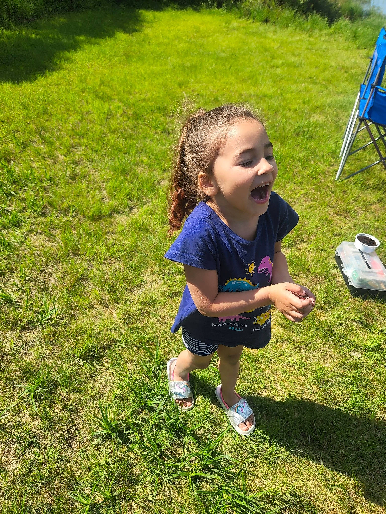 Lillian is registered to the contest to win money with this photo: child, fun, grass, grass_family, grassland, happy, ladder, landscape, lawn, leisure, meadow, natural_environment, people_in_nature, person, plant, recreation, smile, sneakers, sunlight, toddler
