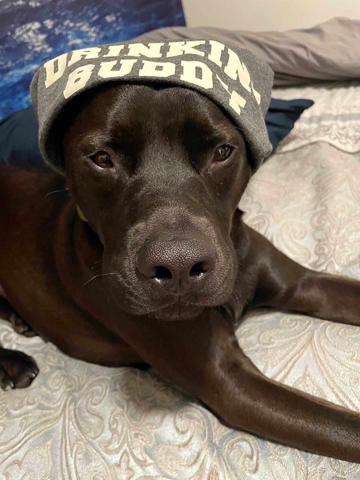 Cyrus