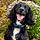 Olly