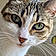 Lola