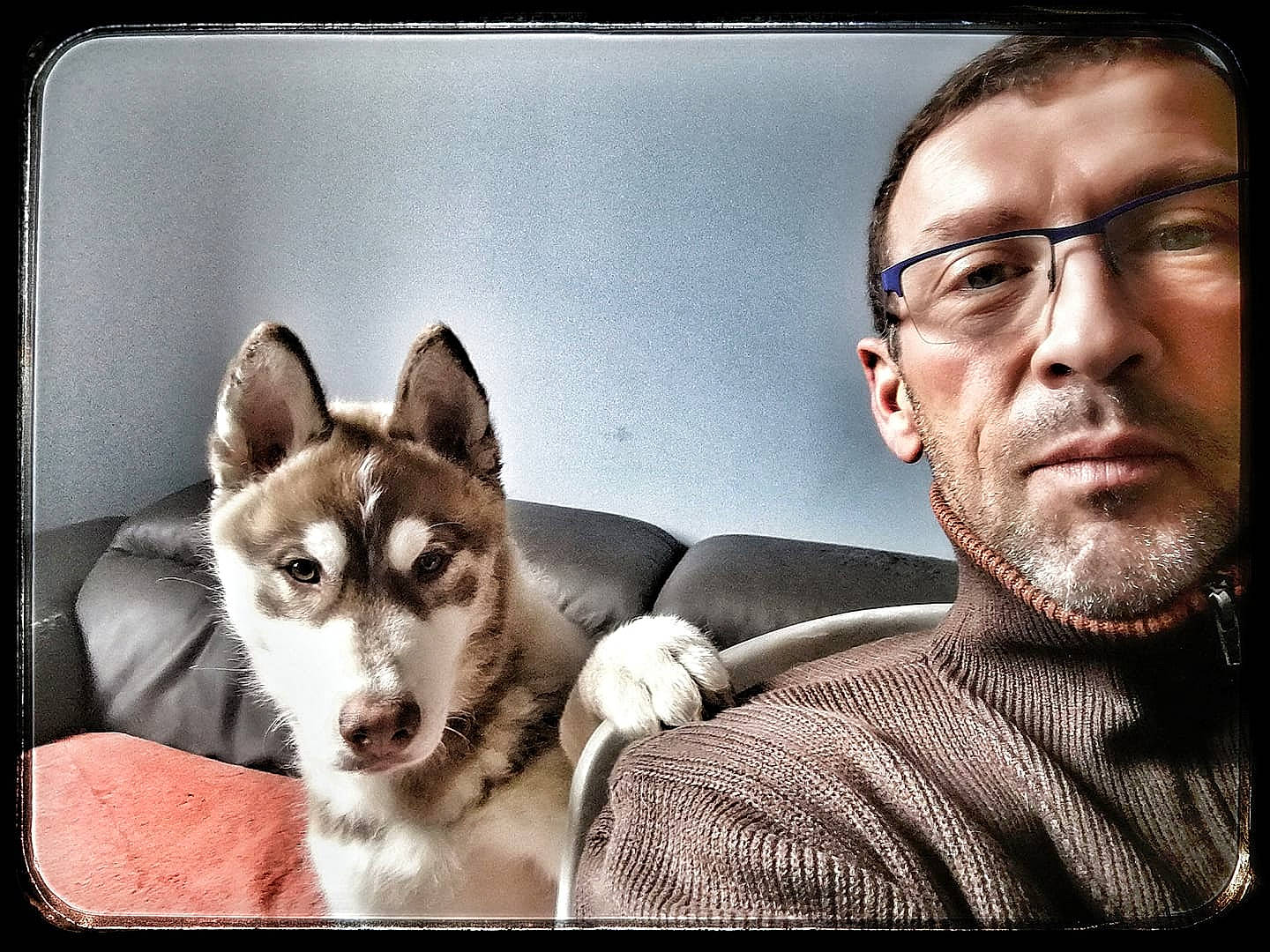 G'Odin a rejoint le concours — aidez-le/la à gagner de superbes lots ! alaskan_klee_kai, alaskan_malamute, canadian_eskimo_dog, canidae, carnivore, dog, dog_breed, mammal, miniature_siberian_husky, native_american_indian_dog, northern_inuit_dog, person, rare_breed_dog, sakhalin_husky, seppala_siberian_sleddog, siberian_husky, sled_dog, snout, vertebrate, west_siberian_laika